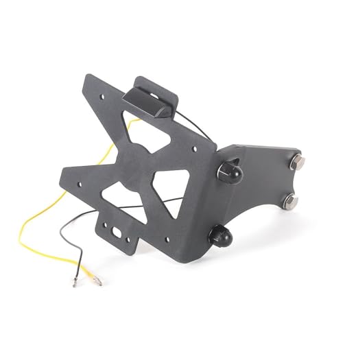 Support de Plaque BMW R18 Kit Éliminateur Arrière avec Éclairage LED