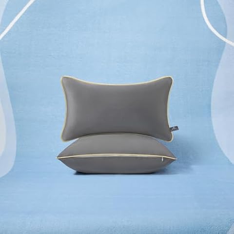 AM AEROMAX Grey Velvet Throw Pillow Covers, 12x20 Inches, Set of 2 Decorative Rectangular Cushion Cases for Living Room Sofa and Bedroom, Soft Touch with Invisible Zipper, Enhances Home Decor Cover