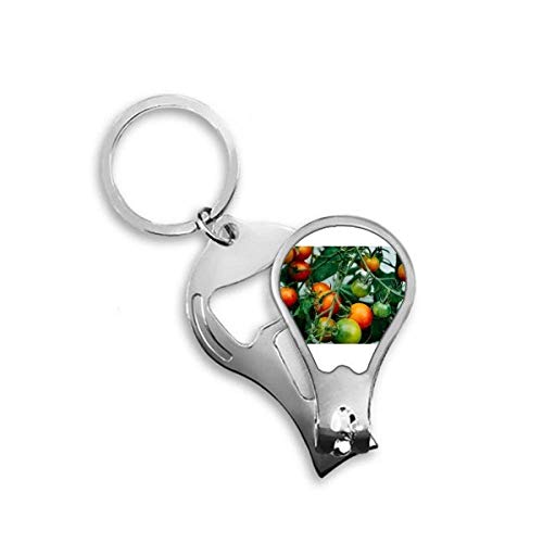 Coupe-ongles pour pieds DIYthinker fini les ongles durs avec le motif fruits frais