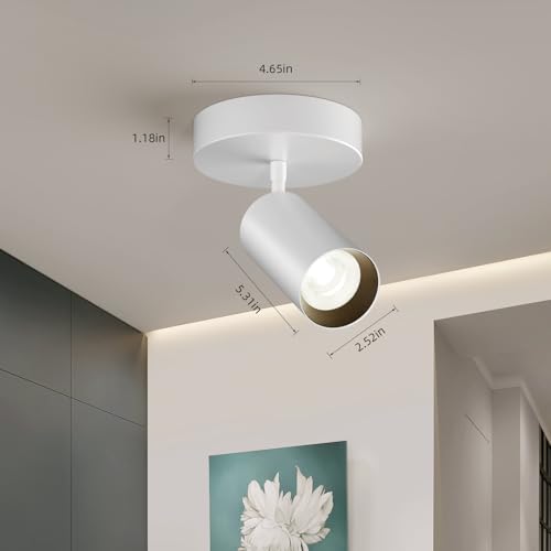 Image of Spotlight Indoor Ceiling LED Light,1 Light 20W Modern Spot Light Fixtures 4000K White Accent 300Adjustable Picture Painting For Living Room Bedroom Hallway Gallery Flush Mount Directional Lighting