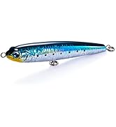 Amazon.co.jp: Jackson(ジャクソン) ダニエルヘッドロック 28g #ZGC