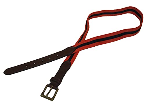 Polo Ralph Lauren Mens Striped Leather Trim Stretch Belt