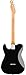 Fender Player II Telecaster HH - Black Bundle with Gig Bag, Strap, Cable, 3-Pack Picks and Guitar Cleaning Kit