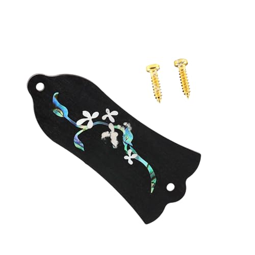 Cache truss rod de guitare forme cloche pour remplacer une plaque fissurée à 2 trous