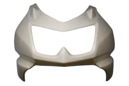 Carénage tête de fourche Kawasaki Ninja 250 R pour remplacer une pièce cassée