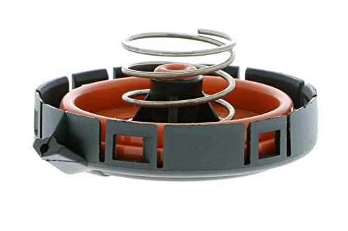 Vaico Crankcase Vent Valve