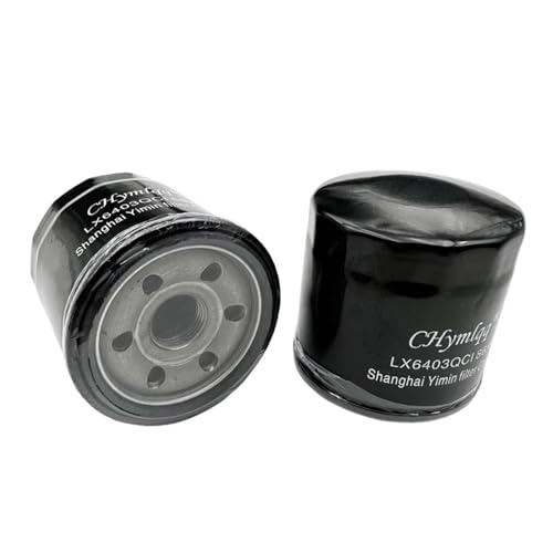 Motorrad-Motorölfilter for Lo-cin VO-GE 525DS 525R 525AC LX500-R 500DS 500AC 500X 500R LX500-A 150350015(2Pcs)