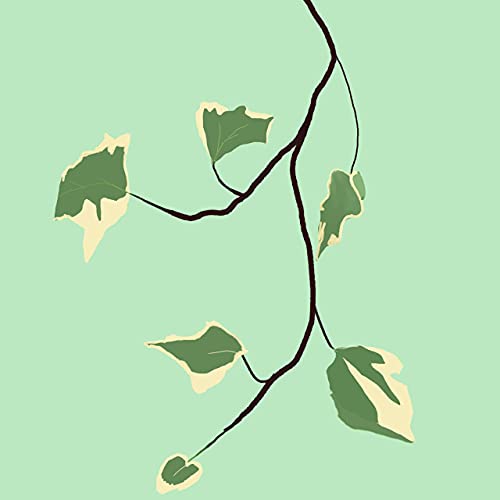 Our Convo to Mars cover art