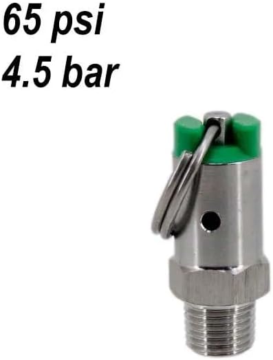 Pressure Relief Valve(PRV) with 1/4" Male NPT Stainless Steel 304 Homebrew Kegging Parts DIY Keg Component(65 psi)