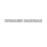 EW Designs Because Racecar Sticker Die Cut Decal JDM Bumper Sticker Vinyl Sticker Car Truck Decal 5'