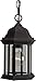 Craftmade Z291-RT Hex Style Outdoor Pendant Lighting, 1-Light 100 Watt (7" W x 11" H), Rust