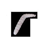Sensitec