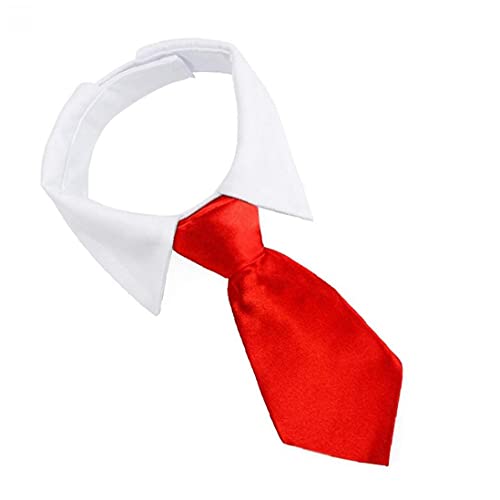 Jorzer Pet Papillon Pet Costume Cravatta Collare