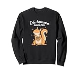 Squirrel animal brake car forest rodent