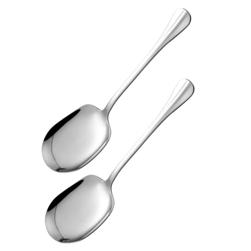 Garneck Set of 2 Large Serving Spoons for Cooking Soup Buffets Stainless Steel Long Handle Stylish for Dining
