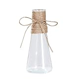 ✿Usos: este moderno jarrón de flores de cristal es una idea perfecta para el día de la madre, boda, día de San Valentín, Navidad, Año Nuevo, inauguración de la casa, arreglos florales de primavera, y hermosa decoración de la habitación para comedor, cocina, sala de estar, mesa.
