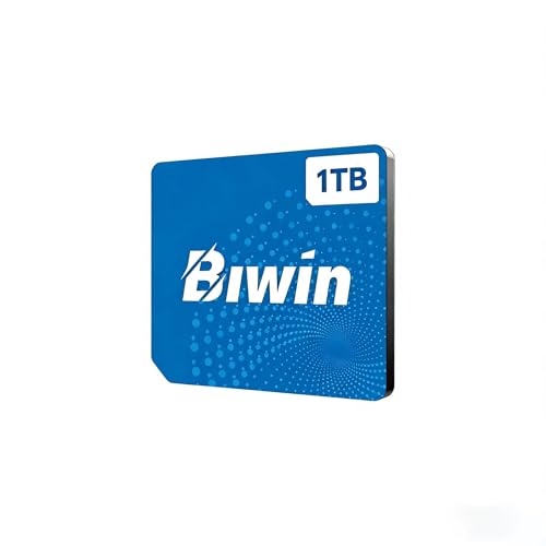 WEELIAO Mini SSD 1TB 2TB GPD Win 5�p Onexplayer Onexfly Apex/ X1 Air/Super X�p ���R���p�N�g�O���X�g���[�W (�~�jSSD�X���b�g���K�v) (1TB)