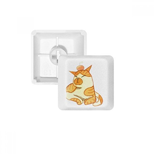 Keycaps PBT Chat Orange Miaoji R3 multicolore pour customisation de clavier mécanique blanc