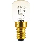 LED's light