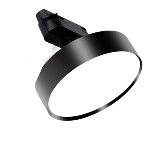 BANGHA Foco de Techo,Foco para Carril Foco LED de riel regulable 220 V, monofásico y trifásico, 15 W, con 2, 3 4 cables, for tienda(15W 6000K,2 Wires Black Body)