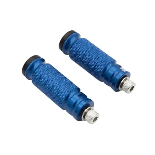 Repose-pieds de moto arrière de 8 mm universels pour S4R et S4RS