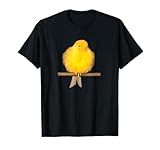 Ich liebe Kanarienvögel Haustier gelber Vogel