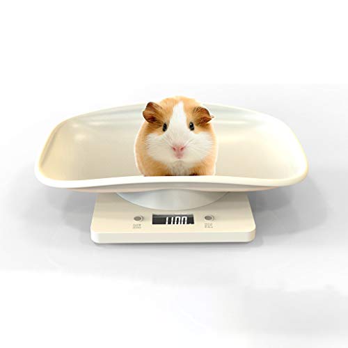 Little Pet Scale | Small Baby Pet Weight Measure | Accurate Digital Animal