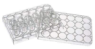 Corning 3421 Soportes permeables, 24-ClusterPlate/5.0um, 48/Cs
