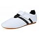 RiToEasysports Taekwondo Schuhe, Boxen Kung Fu Tai Chi Schuhe Karate Trainings Schuhe für Erwachsene und Kinder (39)