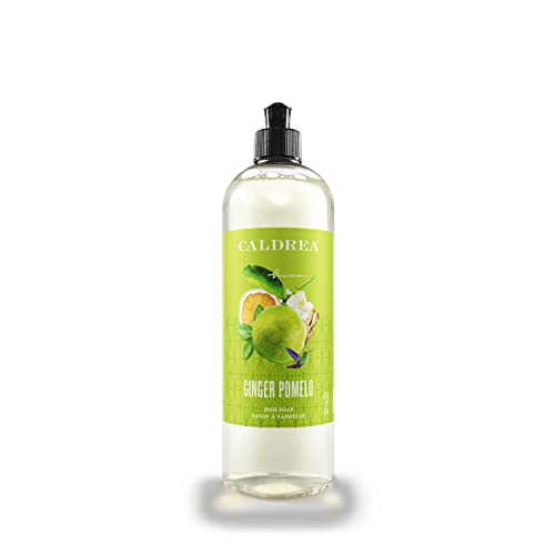 Image of Caldrea Dish Soap, Biodegradable Dishwashing Liquid made with Soap Bark and Aloe Vera, Ginger Pomelo Scent, 16 oz