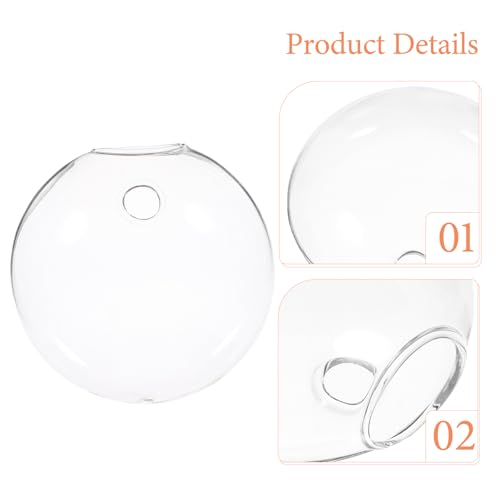 Jarrón de cristal para pared que soluciona la falta de espacio para tus plantas 4