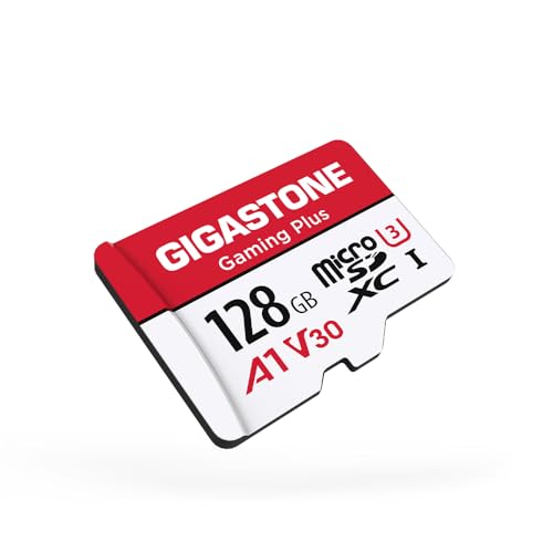 GIGASTONE Scheda SD 32 GB, Set da 10, 10 custodie mini, Scheda Memoria SDHC 32GB 2 Pezzi, Velocità di Lettura Fino a 80 MB/sec, Classe 10 U1 UHS-I, Specialmente per Fotocamere Telecamera