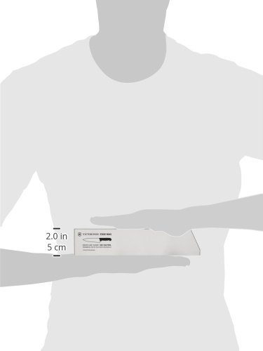 Victorinox VN48311 lâmina fixa, faca, caça, acampamento, ar livre, 23 cm