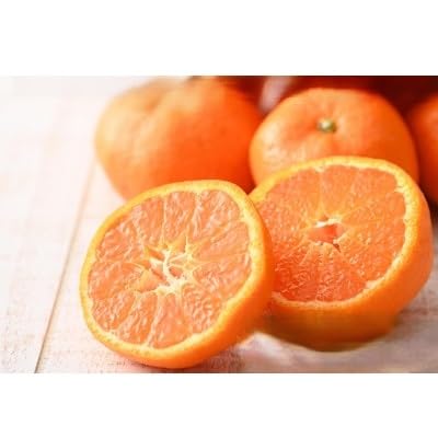 (先行受付)(2026年1月初旬頃より順次出荷予定)青島みかん約5kg LLサイズ〔鈴木農園〕