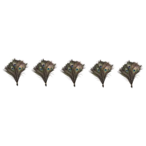 Plumes de paon TEHAUX ocelles chatoyants pour reflets décoratifs uniques