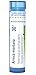 Boiron Arnica Montana 30C 80 Pellets Pain Relief Medicine