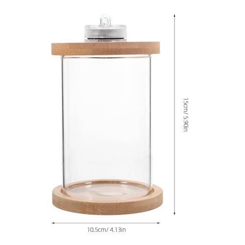 Aquarium poisson Betta compact en verre : la solution déco petit espace