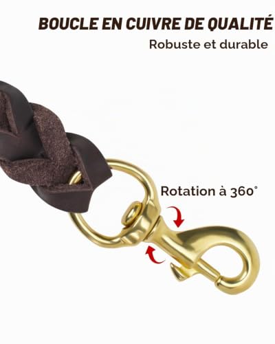 Joytale Laisse Chien Cuir, Laisse en Cuir Robuste pour Chien avec Crochet en Laiton, Douce Et Durable, Adaptée Aux Petits, Moyens Et Grands Chiens（Marron, 150cm×2cm） – vue 4