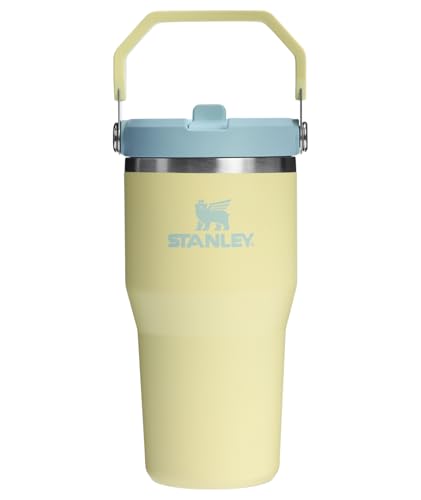 Stanley IceFlow 2.0 Flip Straw Tumbler with Handle 20 oz | Twist ...