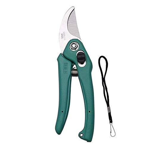 Explodge Stainless Steel Garden Scissors Amazon.in Garden & Outdoors