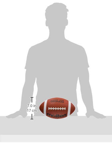 プレミア❗️ブロンコス　限定アメリカンフットボール　応援グッズ プレミア❗️ブロンコス 限定アメリカンフットボール 応援グッズ