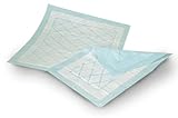 Tamaño: 60 x 60 cm 60 protectores de colchón desechables, 60 x 60 cm, absorción de 480 ml
