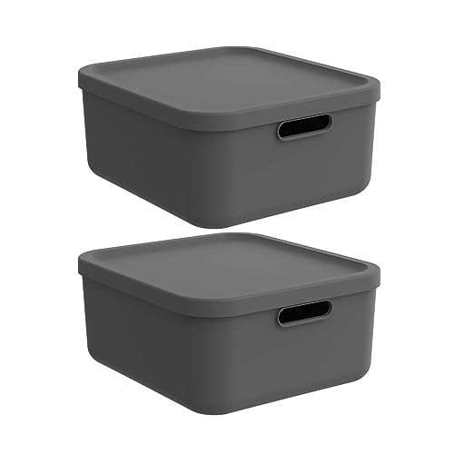 Rotho Albula light 2er-Set Aufbewahrungsbox 20l mit Deckel (Anthrazit)