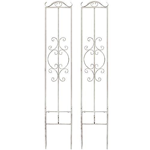 K[fK[f S[WXACAtFXyXz173×31cm 1 AeB[NzCg gX IPN-SLM7955-2P-WHT