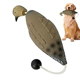 Largement utilisé : à la maison, dans le parc ou dans la nature, ils apportent un plaisir durable à votre animal de compagnie ; non seulement comme un support de dressage, mais aussi un bon compagnon pour le divertissement quotidien.