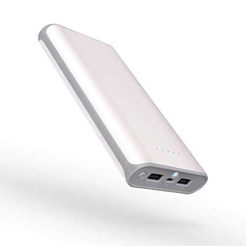 SiKER 20000 mAh Banco de energía portátil Puertos USB duales Cargador móvil Batería Externa con Linterna para iPhone 8 X 8s iPad Samsung Galaxy Smartphones (Gris)