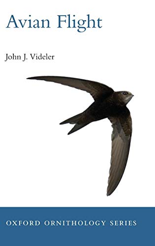 Avian Flight view 2