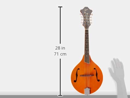 Rover RM-70 Deluxe A-Model Mandolin - Translucent Amber - Image 6