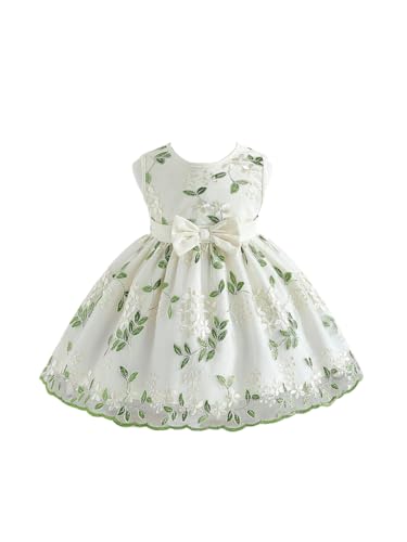 Image of Tagas Girls' Princess Dress | Girl Dress |Dresses birthdaydress for Babygirls | A-Line Knee-Length Dress