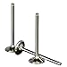 Wiseco VIT031 Premium Titanium Intake Valve